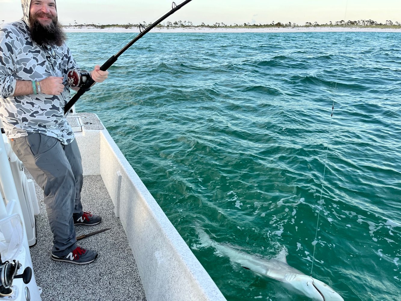 Half Day Shark Fishing In Panama City