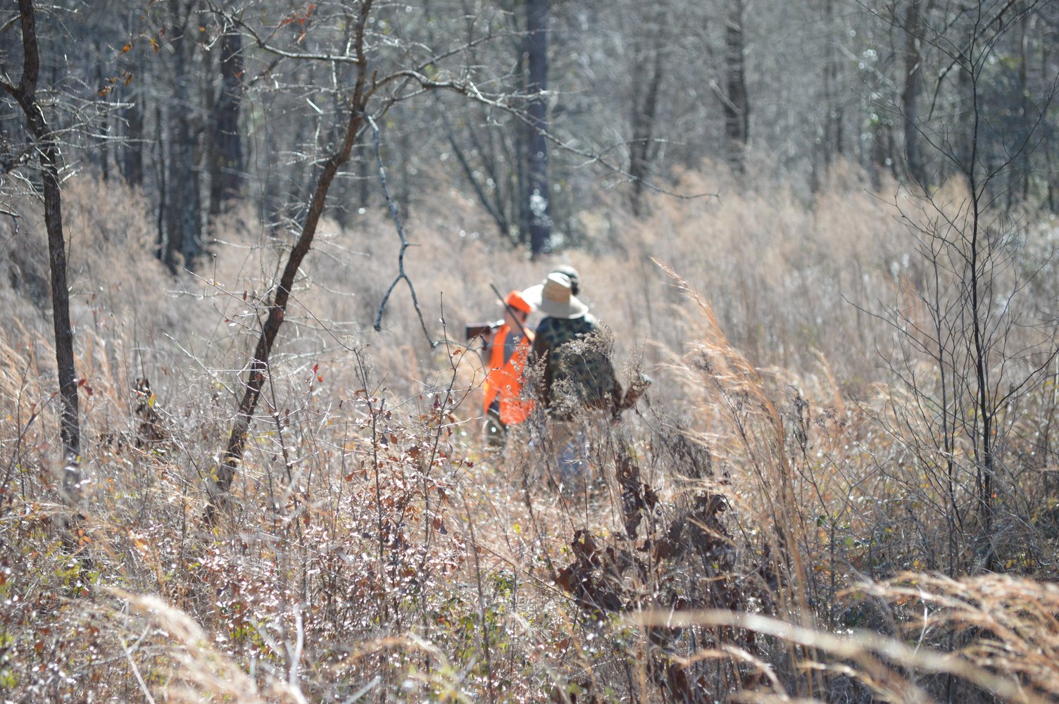 Austin, TX Quail Hunting In Marble Falls