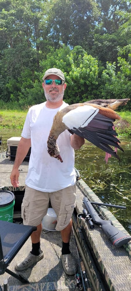 Exotics Airgun Hunt In Lake Worth Beach