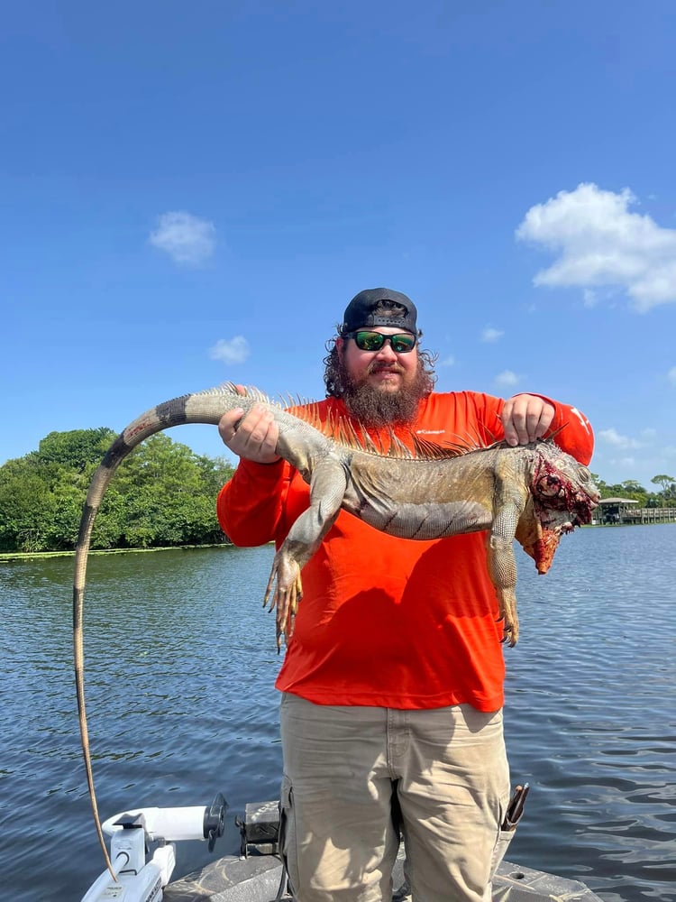 Exotics Airgun Hunt In Lake Worth Beach