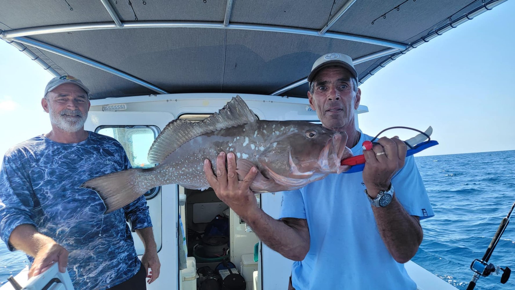 Red Grouper Special In Bokeelia