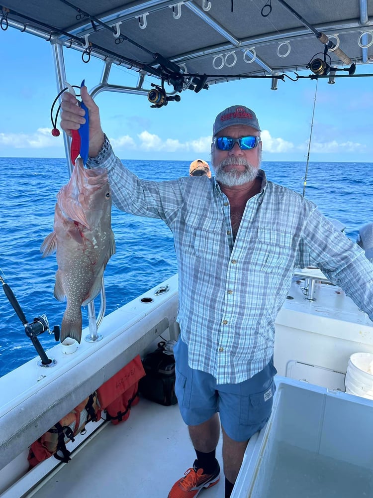 Red Grouper Special In Bokeelia