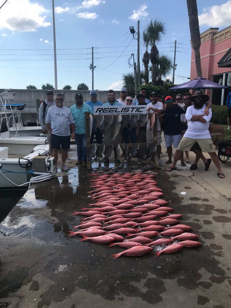 Luxury Sportfishing - Ballistic II In Panama City