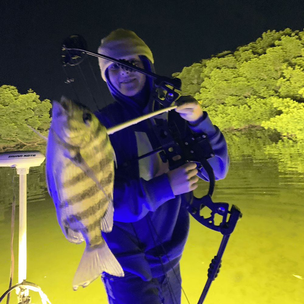 St. Pete Bowfishing In St. Petersburg