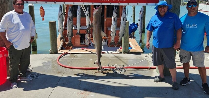 Captain Daniel's Fish Frenzy In Port Aransas