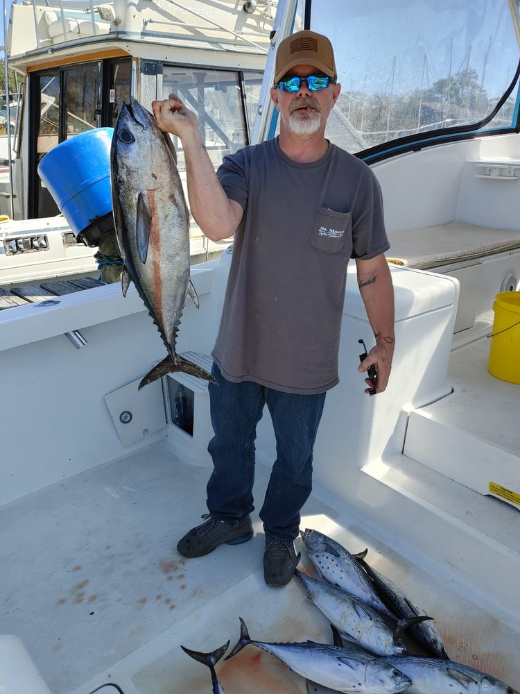 Destin Gulf Fishing In Niceville