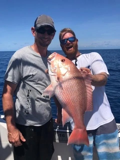 St. Pete Red Snapper - 28' Polar In St. Petersburg