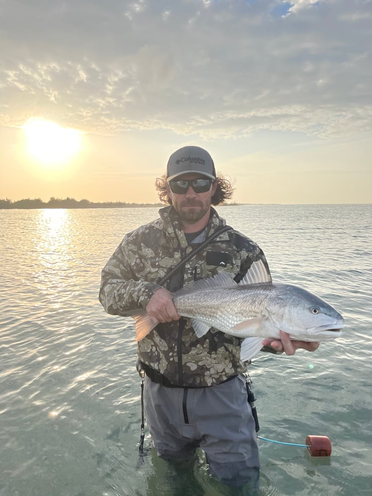 Rockport Tx Wade Fishing In Rockport