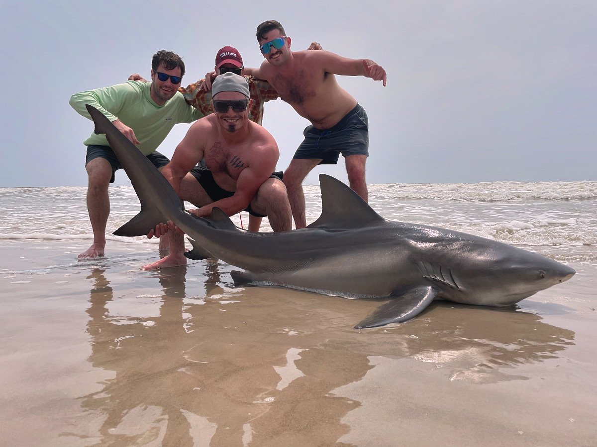 Evening Surf Fishing For Sharks In Port Aransas