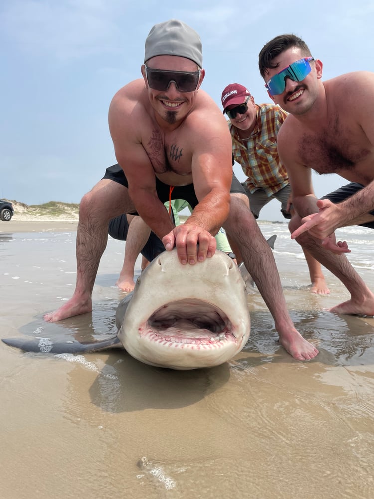 Evening Surf Fishing For Sharks In Port Aransas