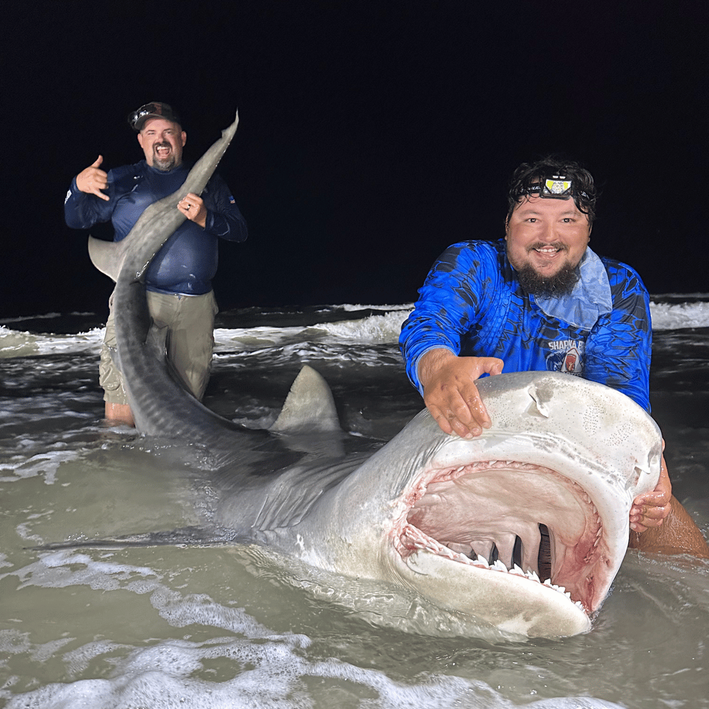 Evening Surf Fishing For Sharks In Port Aransas