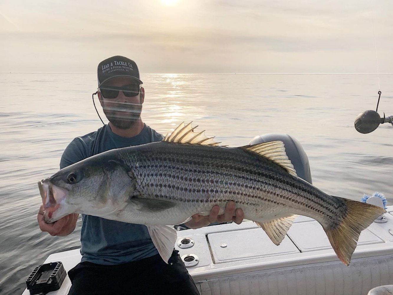 Midsummer Striper - 33’ Grady White In Chatham