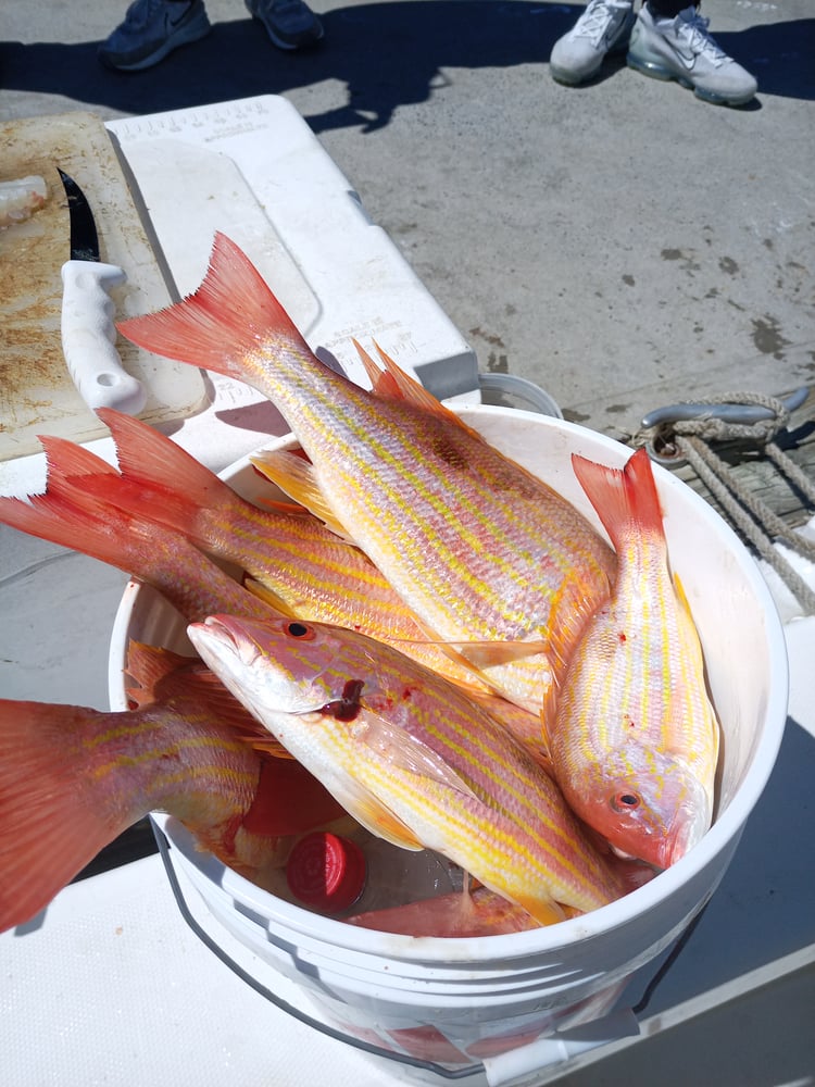 10- 20 Mile Keeper Trip In New Smyrna Beach