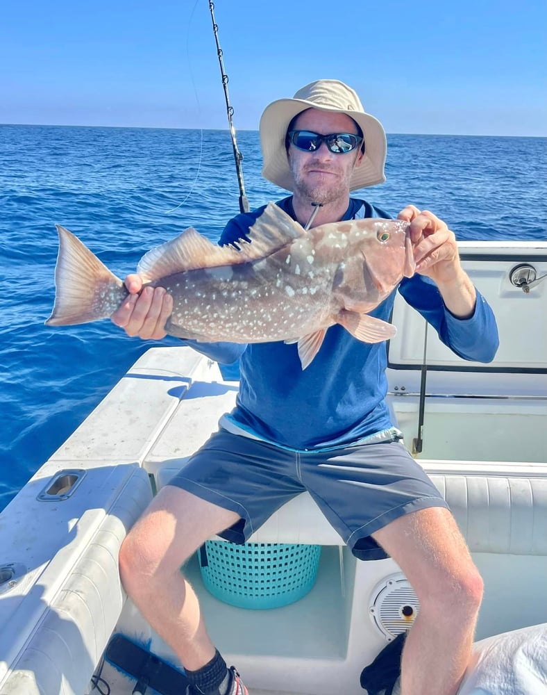 Grouper/Snapper 40mi+ In Bokeelia