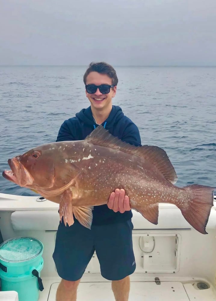 Grouper/Snapper 40mi+ In Bokeelia