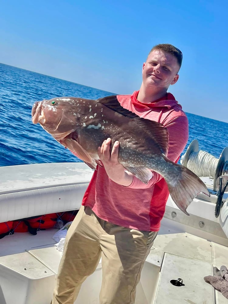 Grouper/Snapper 40mi+ In Bokeelia