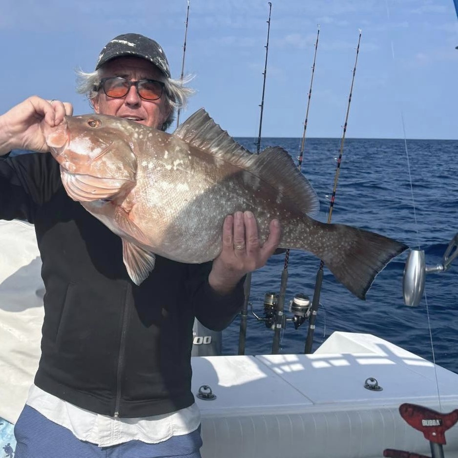 Grouper/Snapper 40mi+ In Bokeelia