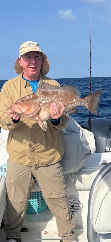 Grouper/Snapper 40mi+ In Bokeelia