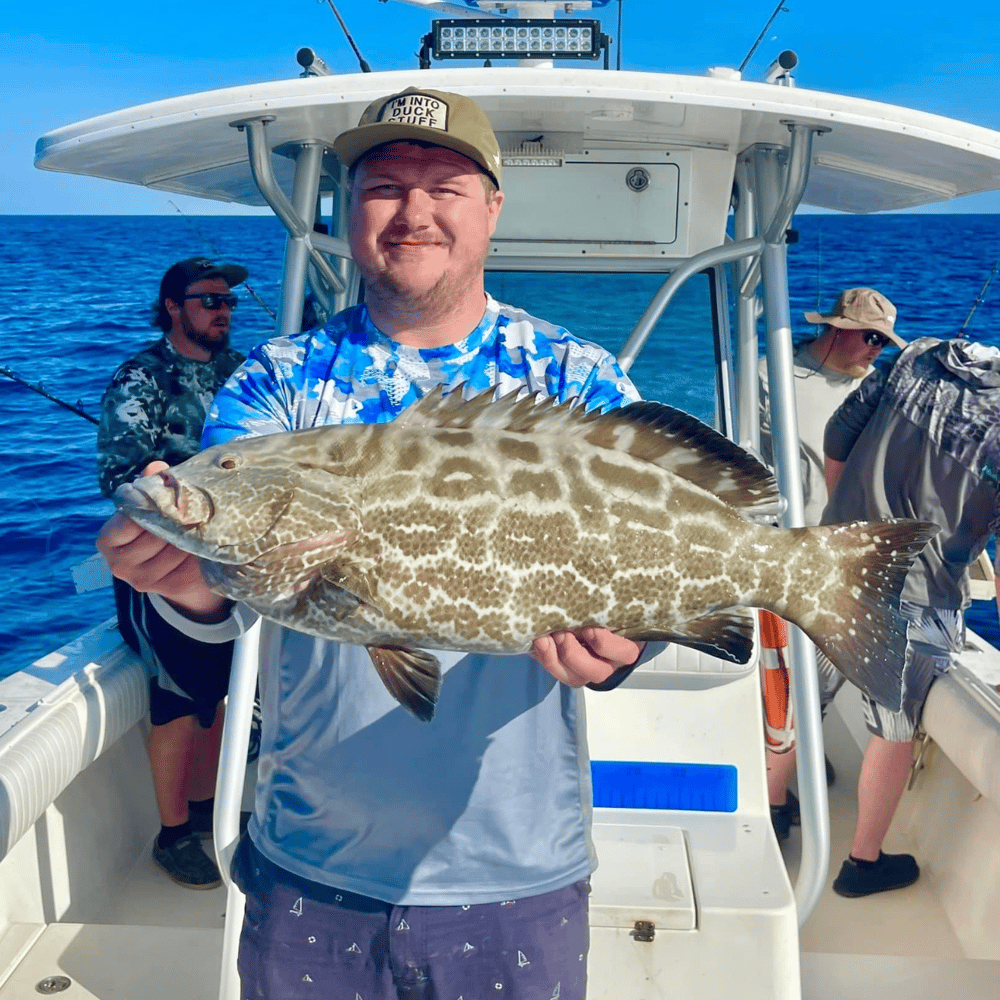 Grouper/Snapper 40mi+ In Bokeelia