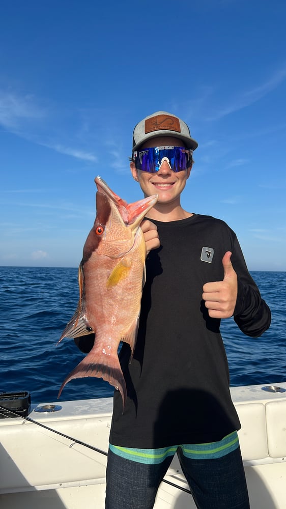 Half Day Deep Sea Fishing In Belleair Bluffs