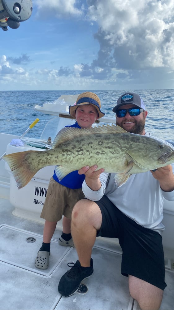 Half Day Deep Sea Fishing In Belleair Bluffs