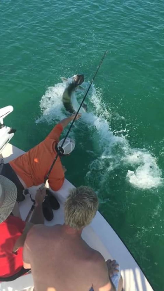 Tarpon Fishing Baby! In Clearwater