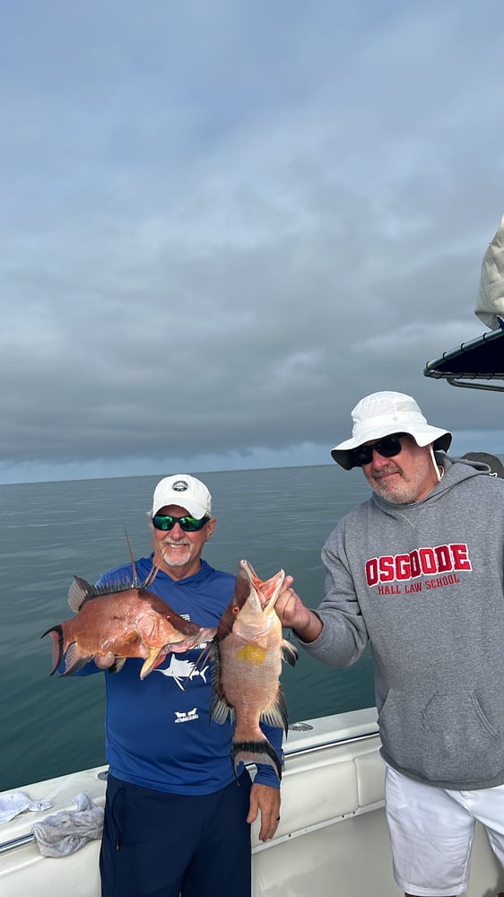 Deep Sea Fishing 6hr Trip In Belleair Bluffs