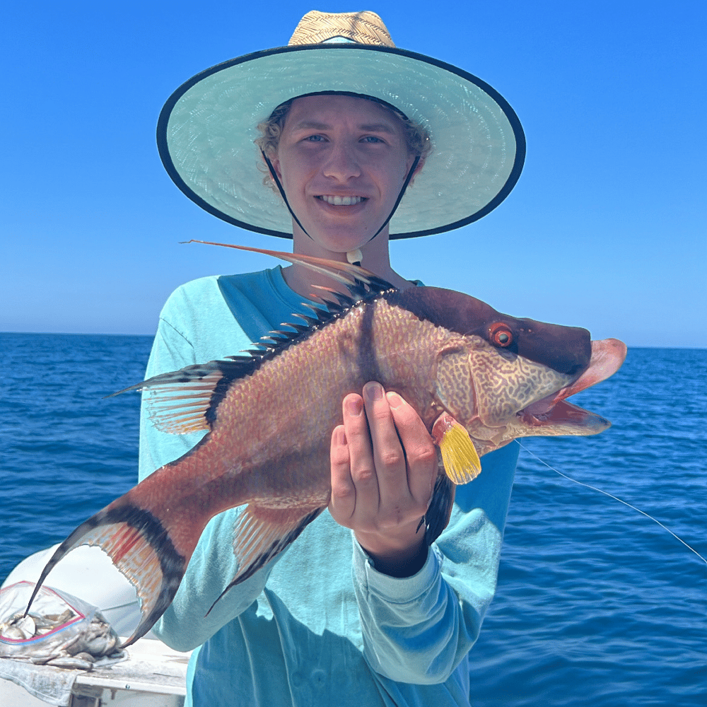 Deep Sea Fishing 6hr Trip In Belleair Bluffs