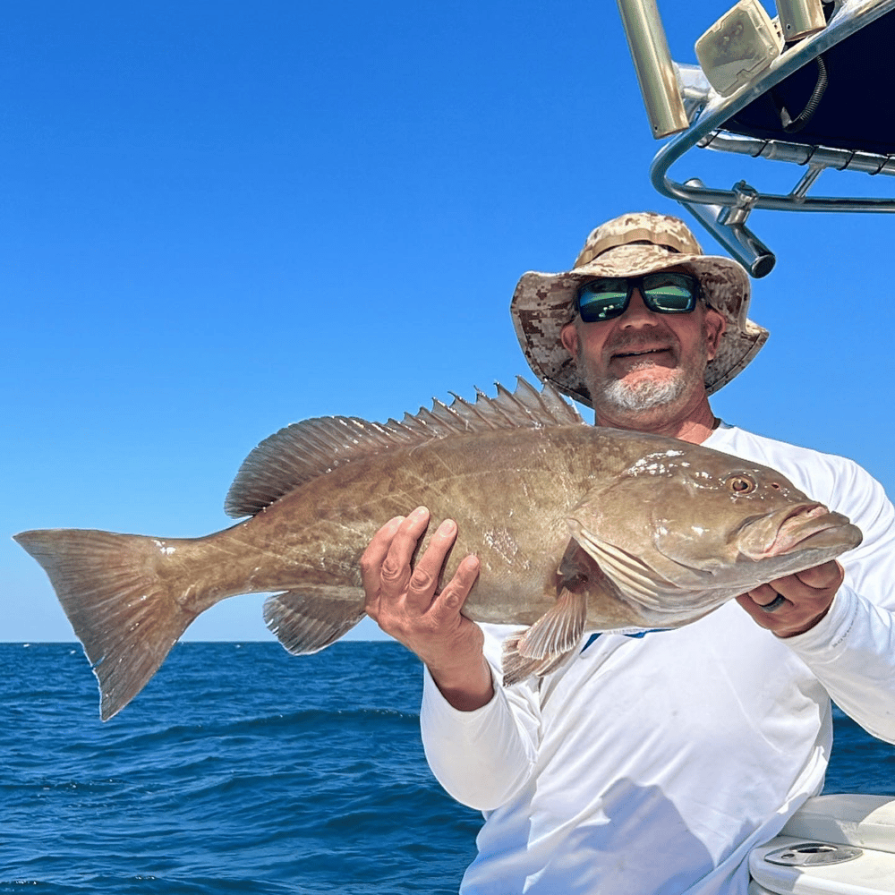 Full Day Deep Sea Fishing In Belleair Bluffs