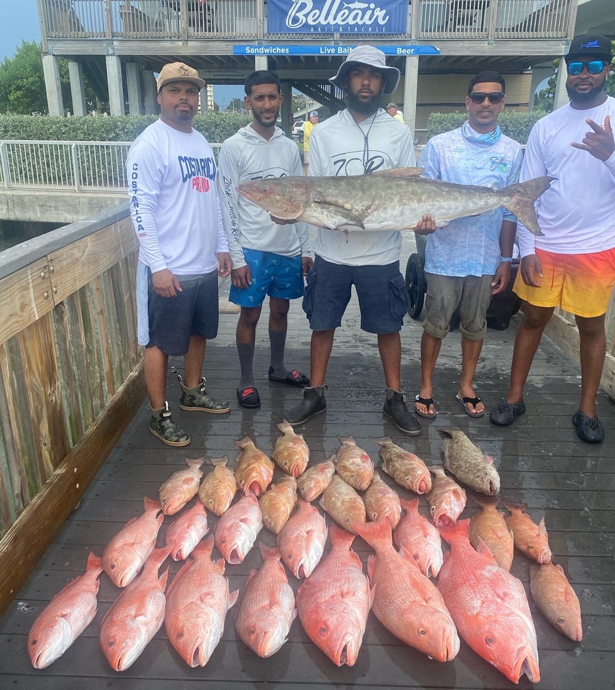 Red Snapper Fishing In Belleair Bluffs