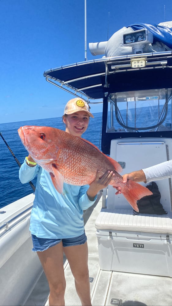 Red Snapper Fishing In Belleair Bluffs