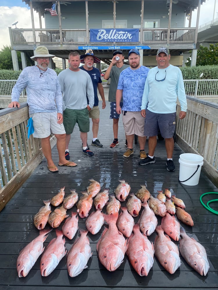 Red Snapper Fishing In Belleair Bluffs