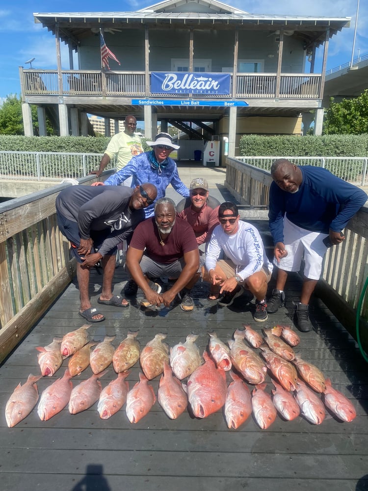 Red Snapper Fishing In Belleair Bluffs