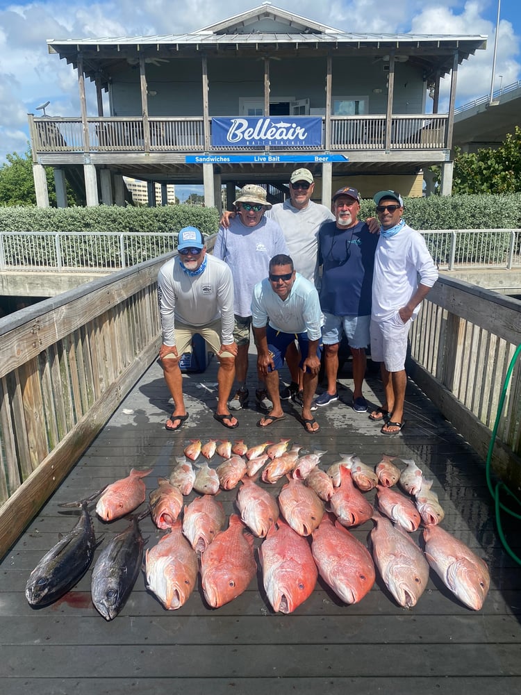 Red Snapper Fishing In Belleair Bluffs