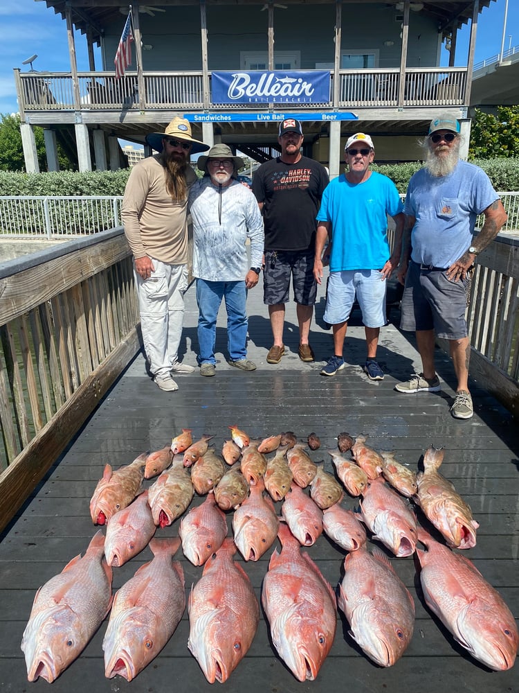 Red Snapper Fishing In Belleair Bluffs