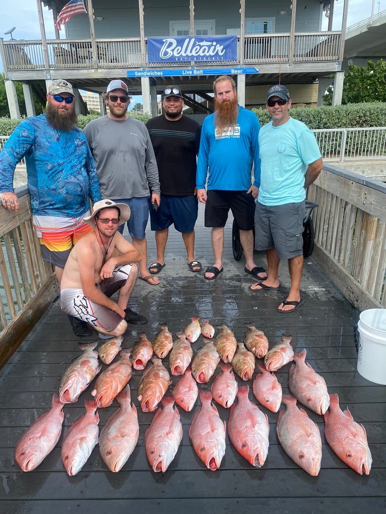 Red Snapper Fishing In Belleair Bluffs