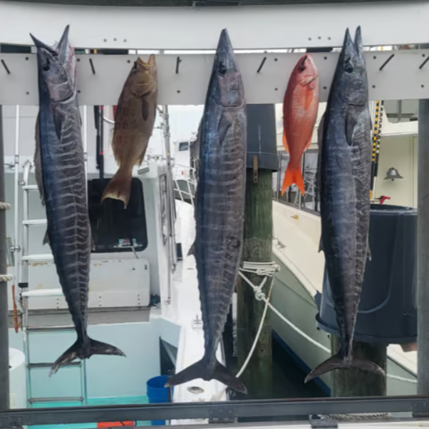 Big Catch Quest: Deep Sea Voyage In Destin