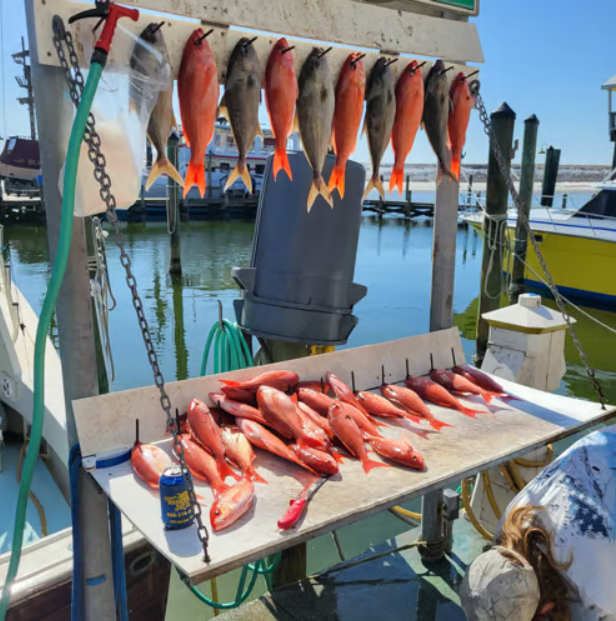 Big Catch Quest: Deep Sea Voyage In Destin