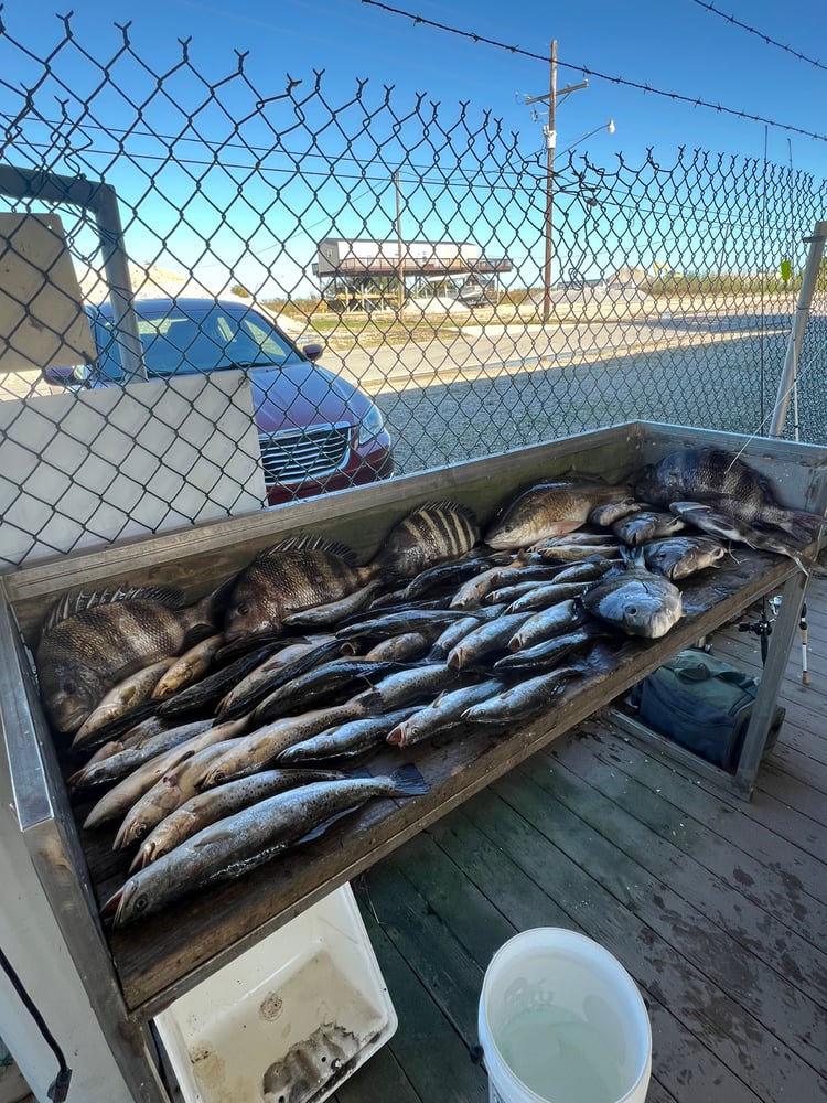 Hopedale Hookfest In Saint Bernard