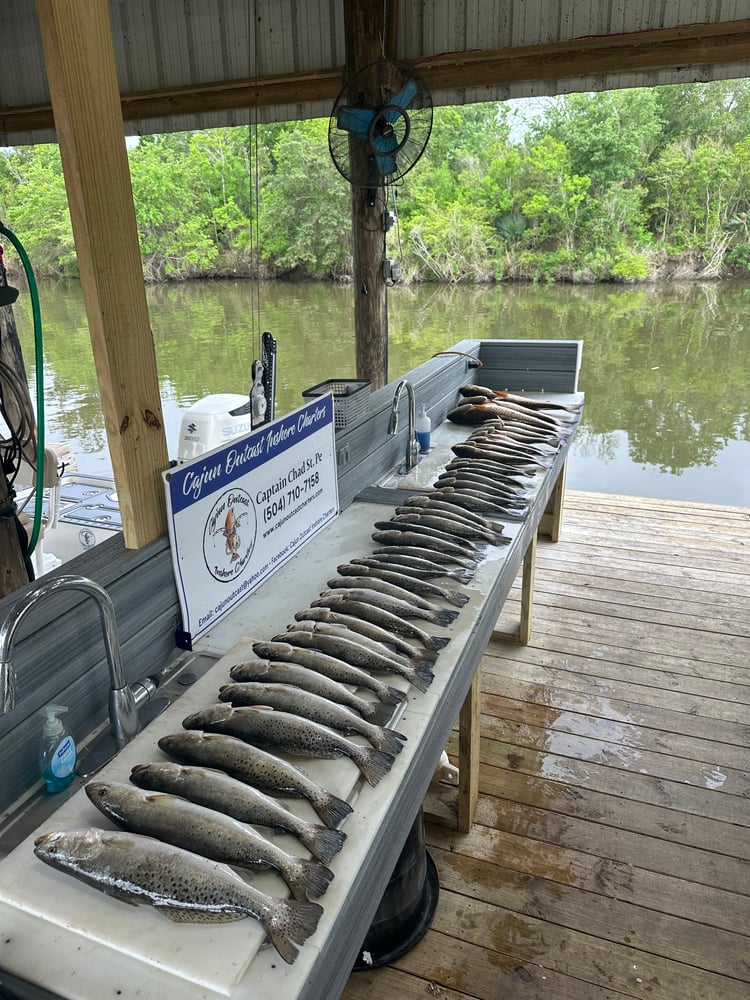 Hopedale Hookfest In Saint Bernard