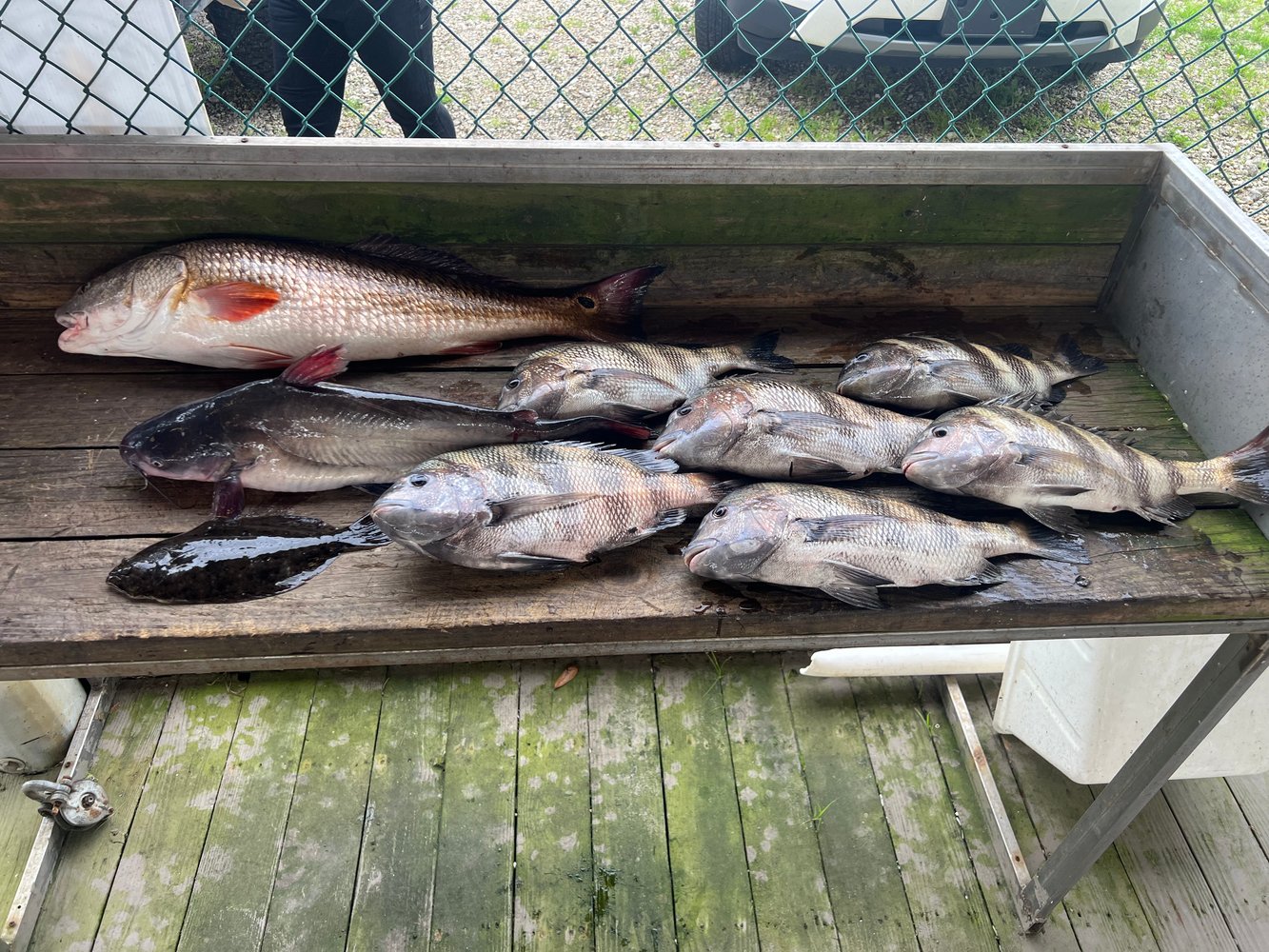 Hopedale Hookfest In Saint Bernard