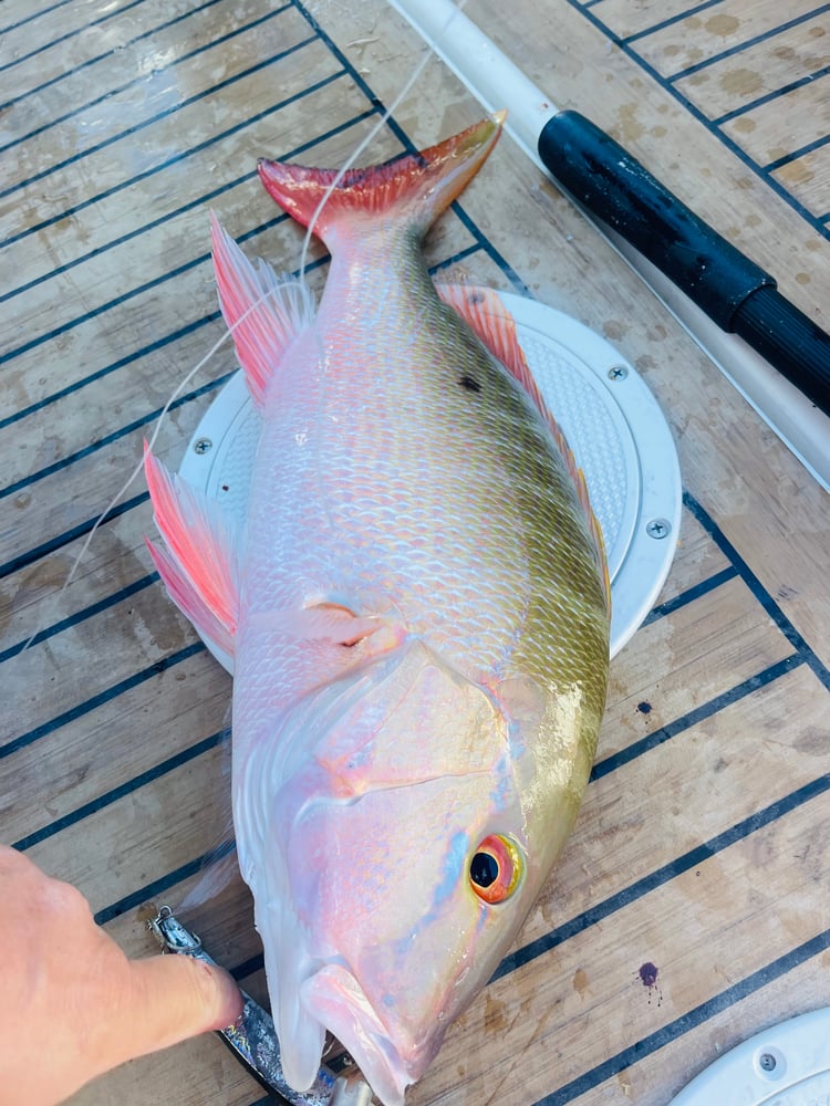 Islamorada Fishing With Capt Pete In Islamorada