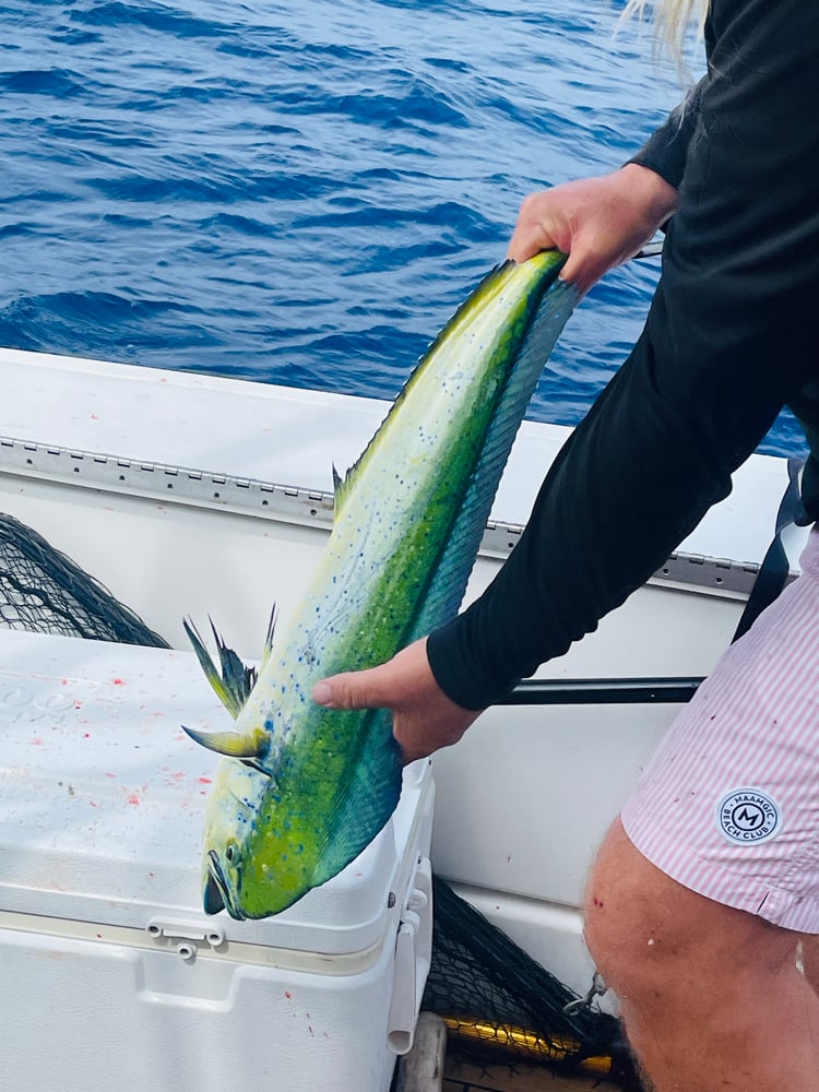 Islamorada Fishing With Capt Pete In Islamorada