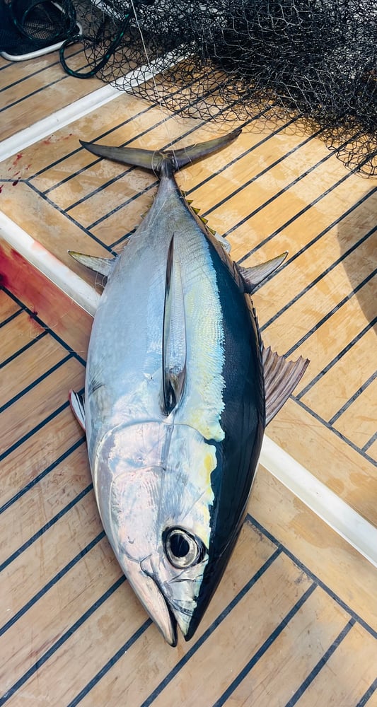 Islamorada Fishing With Capt Pete In Islamorada