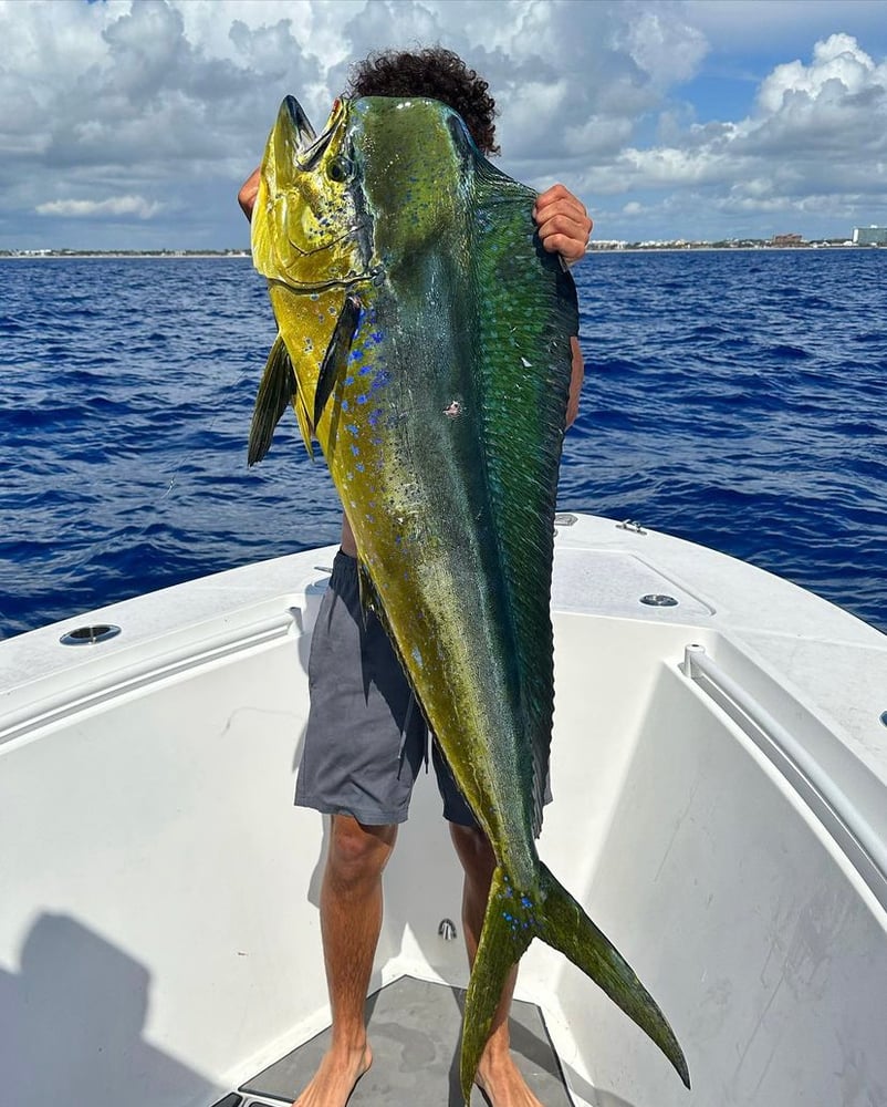 Sportfishing In Style In Pompano Beach