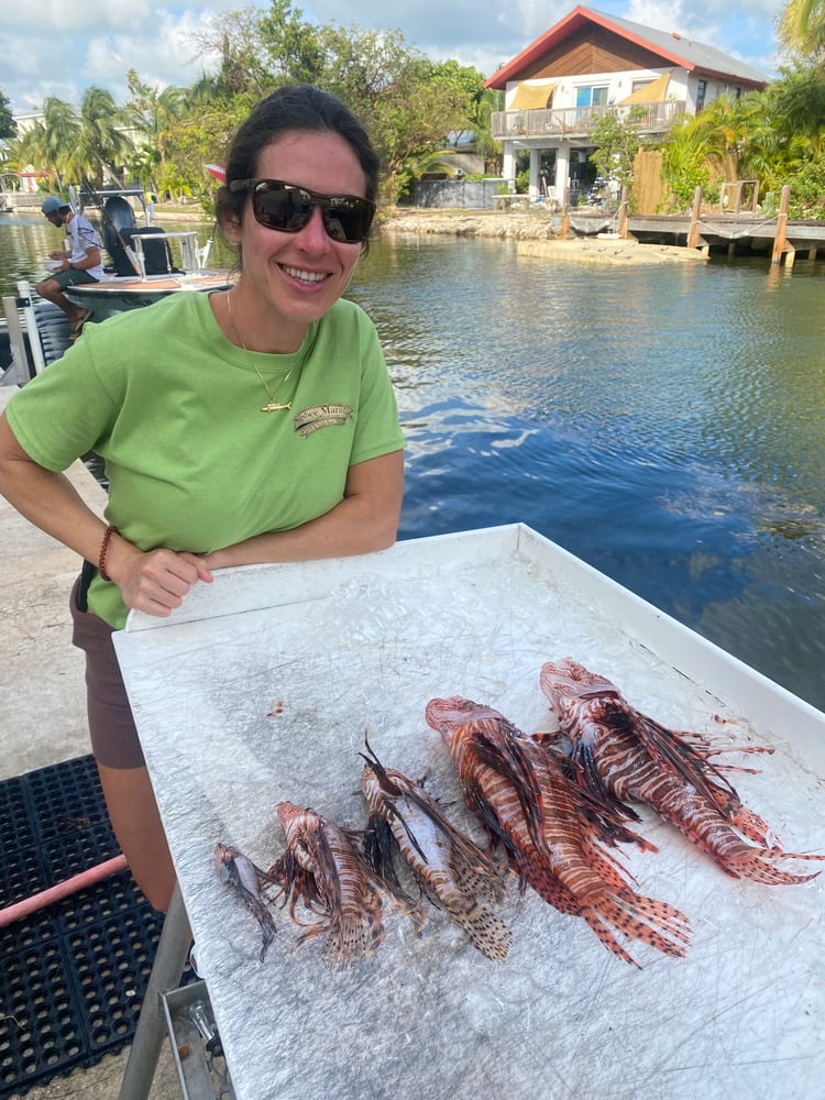 Lionfish Spearfishing Fury In Key West