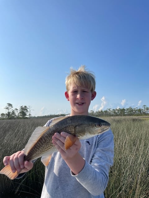 3 Hour Inshore/NearShore In Gulf Shores