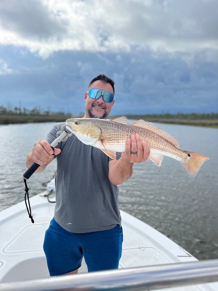 3 Hour Inshore/NearShore In Gulf Shores