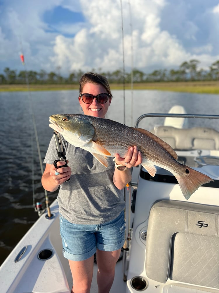 3 Hour Inshore/NearShore In Gulf Shores