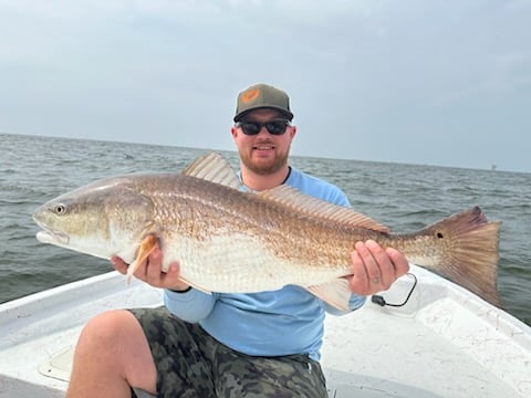 3 Hour Inshore/NearShore In Gulf Shores